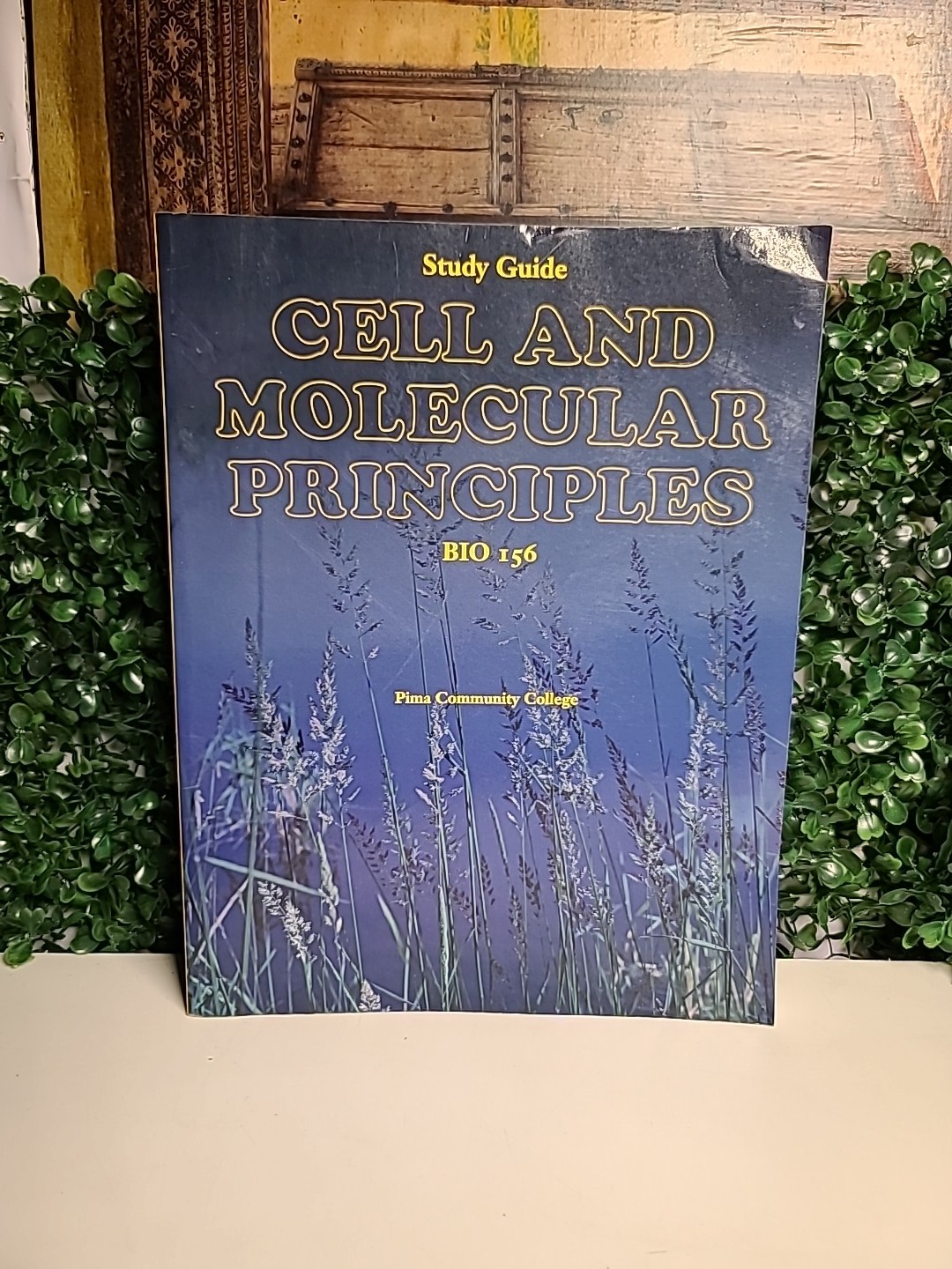 Study Guide BIO 156 – Cell and Molecular Principles – Pima Community College – P