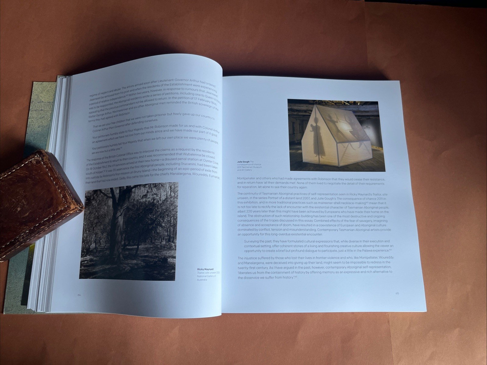 THE NATIONAL PICTURE : The Art of Tasmania’s Black War NGA 1st Ed 2018 SCARCE