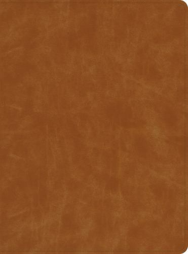 CSB Lifeway Women’s Bible, Butterscotch Genuine Leather