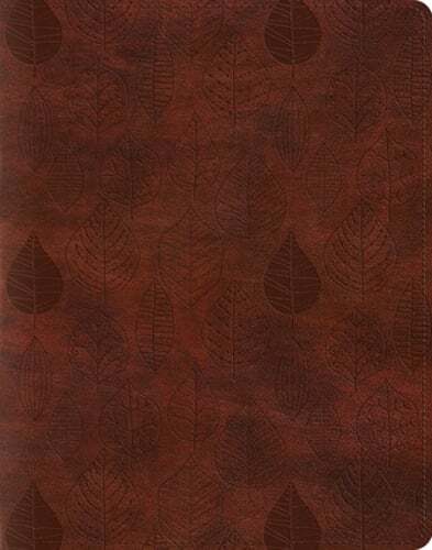 ESV Single Column Journaling Bible: Used