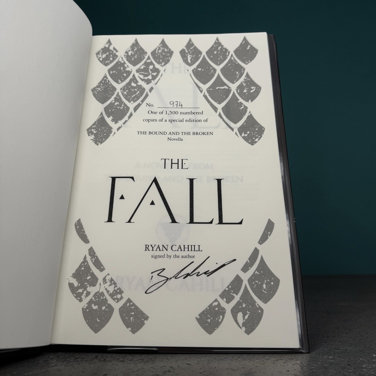 The Fall SIGNED NUMBERED By Ryan Cahill Broken Binding The Bound And The Broken
