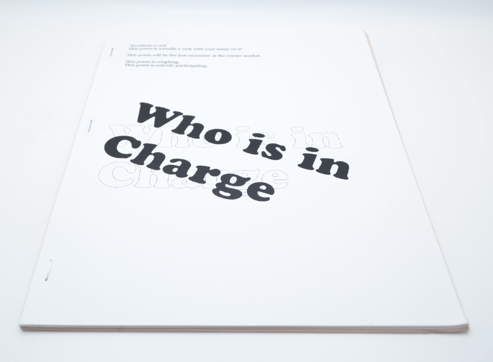 Who is in Charge, Morgan Ritter, 2013, c_L Books, LE, Concrete Poetry, Artist