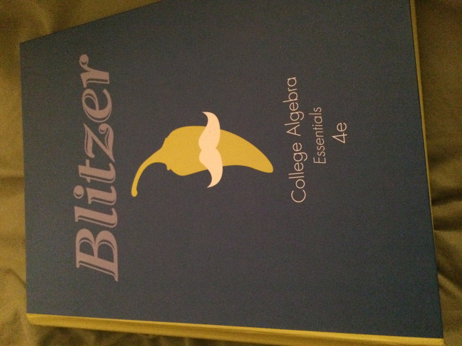 College Algebra Essentials by Blitzer