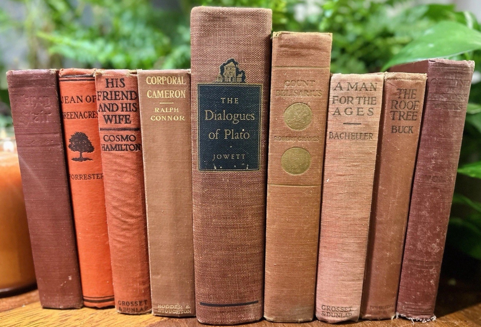 Set of 9 BRICK-RED ANTIQUE Books COTTAGE CORE Library Academia Decor Staging