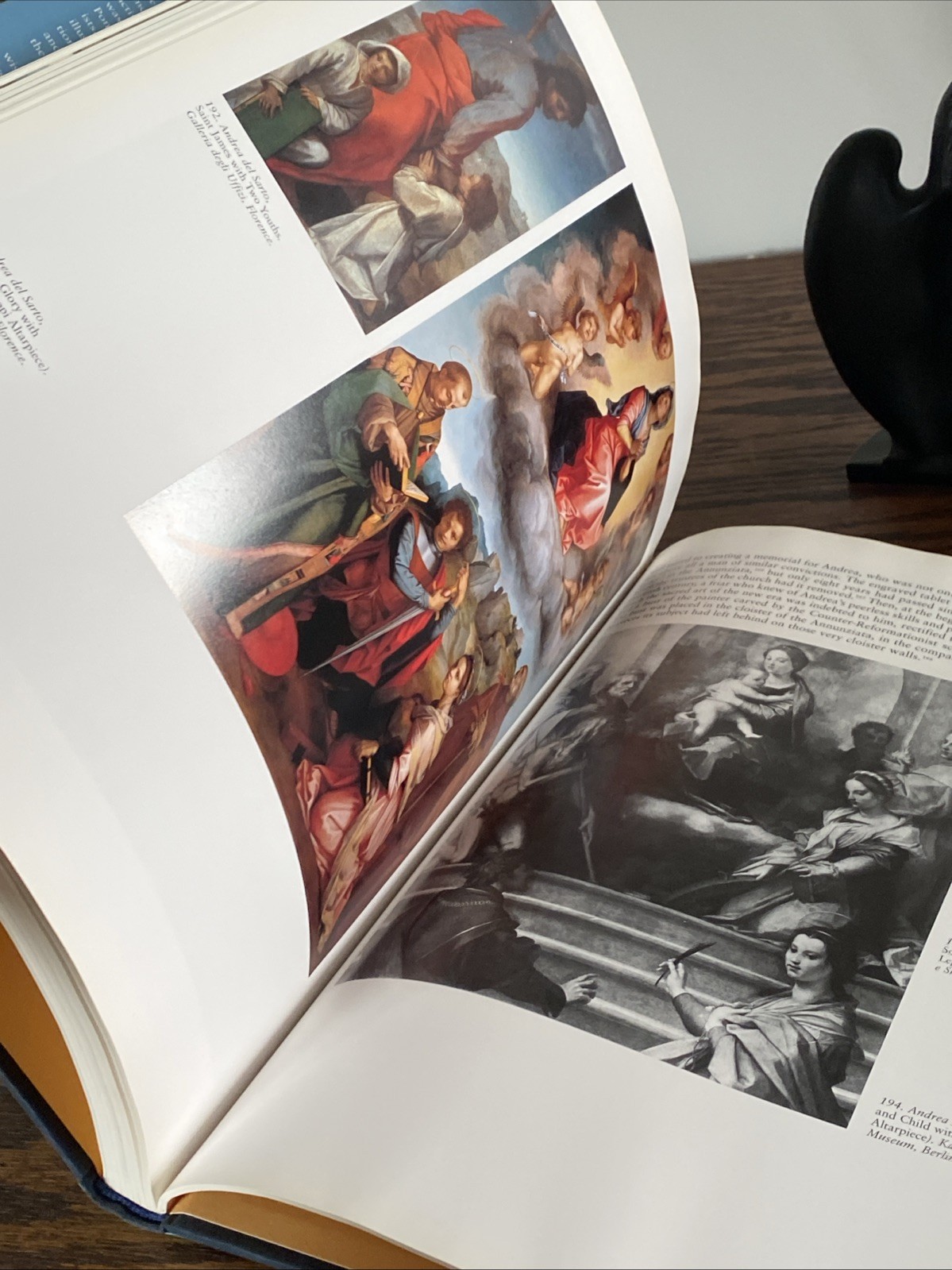 1999 Andrea del Sarto by Antonio Natali Abbeville Press Hardcover DJ