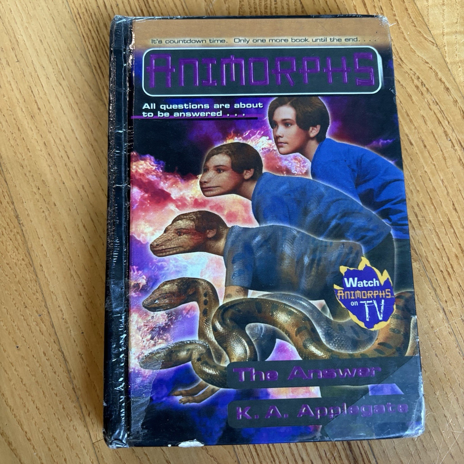 Animorphs #53 The Answer HARDCOVER Book K.A. Applegate Scholastic Raccoon HTF