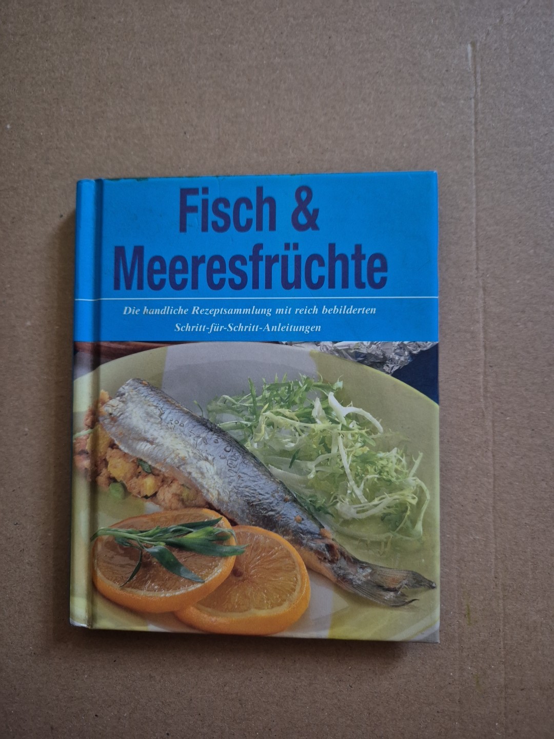 «Fisch & Meeresfrüchte» Rezeptesammlung — handlich + ideal nebenbei reinschauen