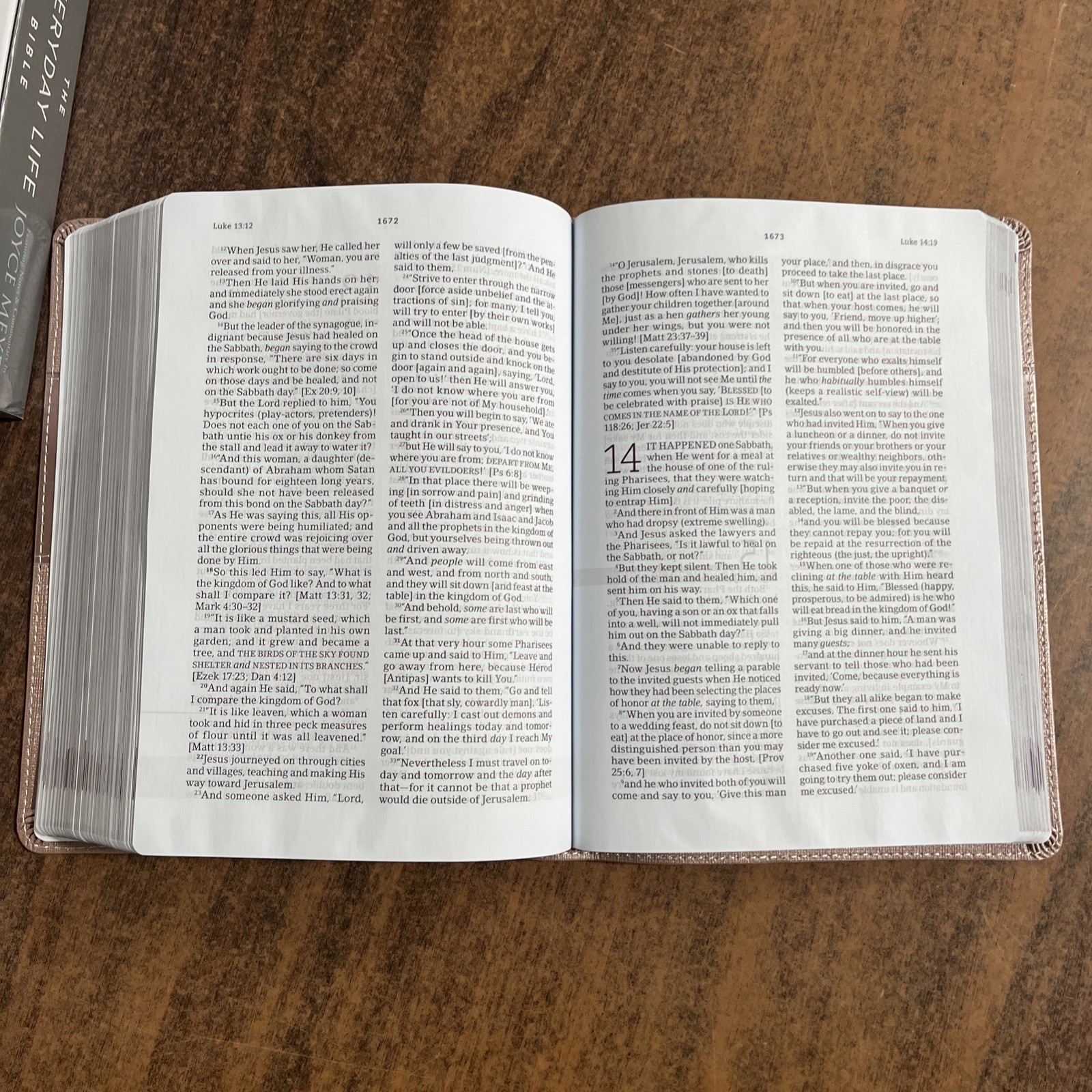 Amplified Joyce Meyer Everyday Life Study Bible — Blush LeatherLuxe