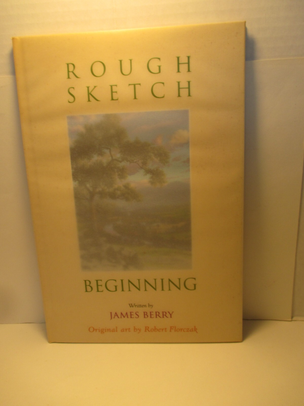 art / picture book ROUGH SKETCH by J BERRY illus R FLORCZAK 1996 hc + dj 1st ed