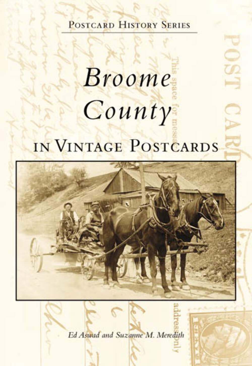 NEW Arcadia Publishing Broome County in Vintage Postcards, NY 9780738504476 Post