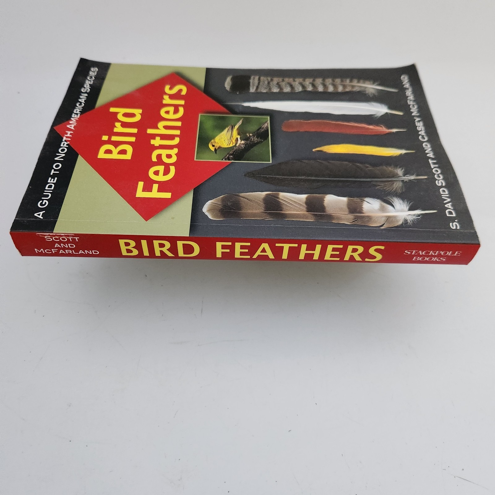 Bird Feathers Guide to North American Species David Scott Casey McFarland