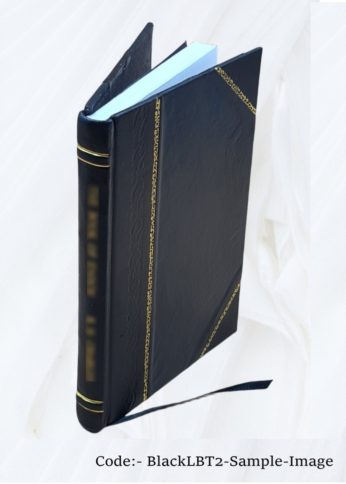 Instructions to light-keepers, July, 1881. 1881 by United States [Leather Bound]