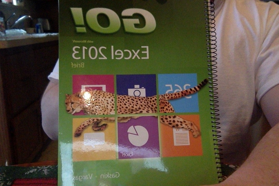 Go! With Microsoft Excel 2013 Brief by Shelley Gaskin
