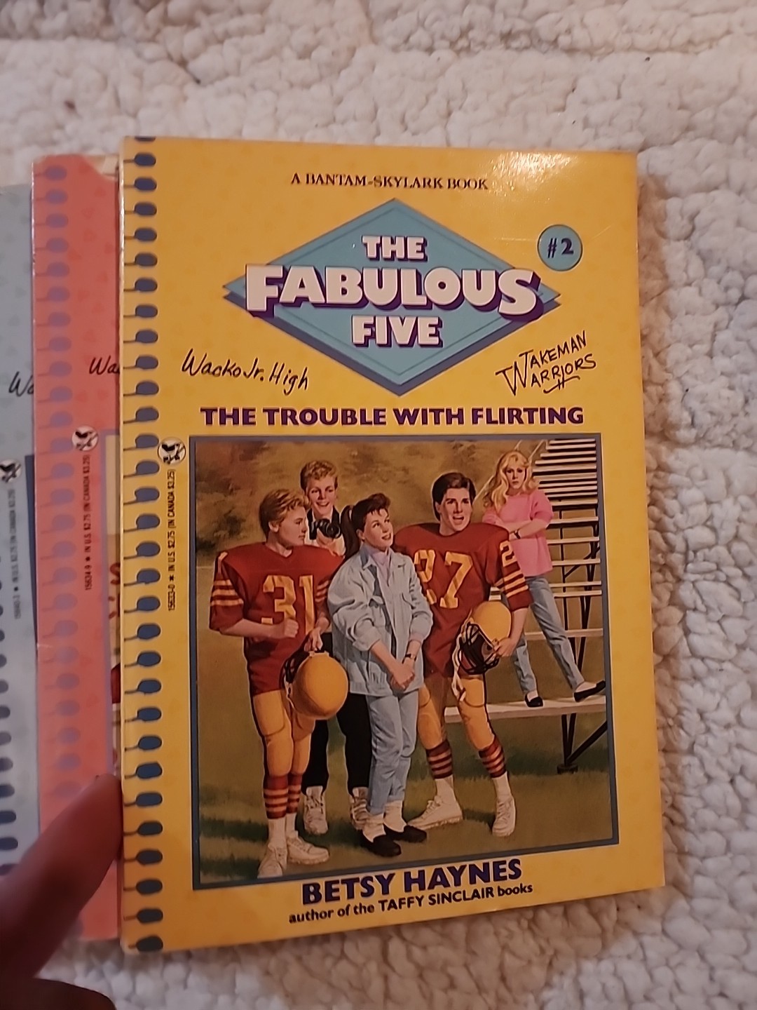 The fabulous 5 by Betsy Haynes books# 1 thru 8 ,#11,#15