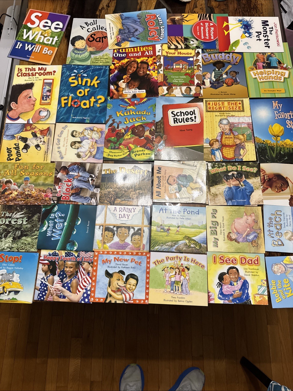 Lot of 37 Rigby Literacy By Design Level A B AA Homeschool Books Big And Small