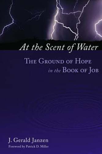 At the Scent of Water: The Ground of Hope in the Book of Job by J Gerald Janzen