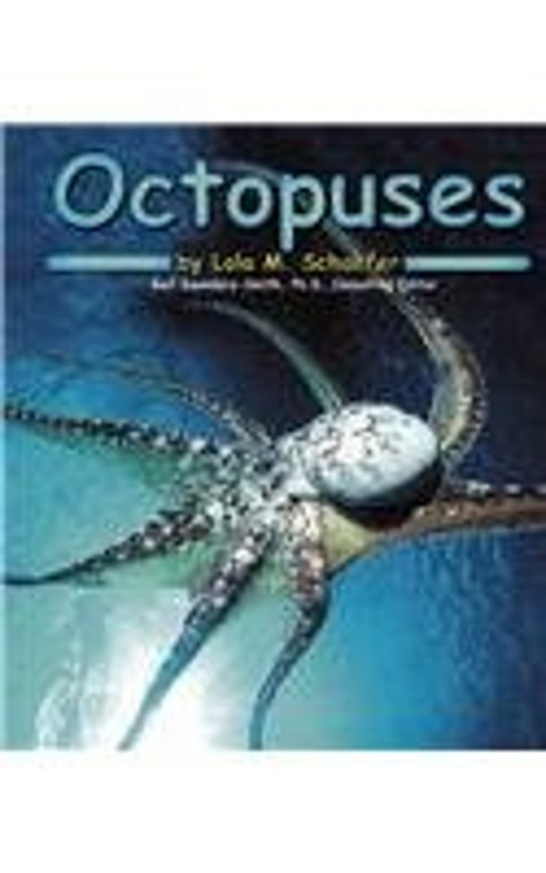Octopuses Hardcover Lola M. Schaefer