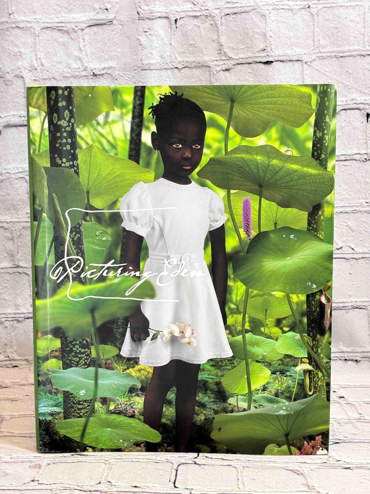 Picturing Eden by Deborah Klochko, Toki Design, Alison Nordström [1st Edition ·