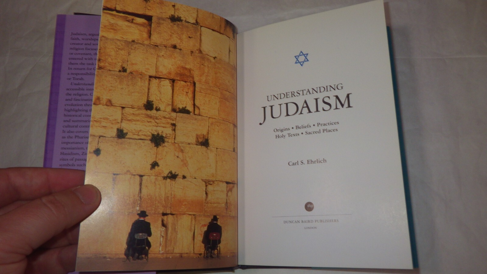 Understanding Judaism : Origins, Beliefs, Practices, Holy Texts,