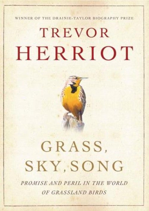 Grass, Sky, Song : Promise and Peril in World of Grassland Birds
