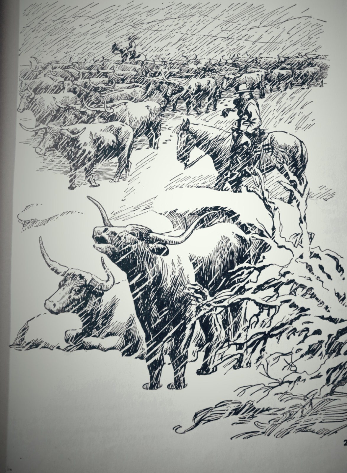 The Cowboy Encyclopedia 1951 First Edition 175 Illustrations 160 Pages HC