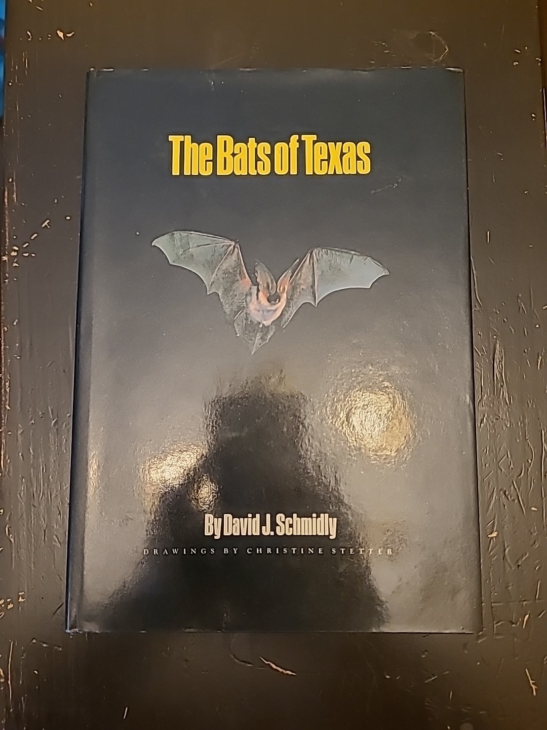 The Bats of Texas David J. Schmidly 1991 HC Most Complete Compilation of Bats