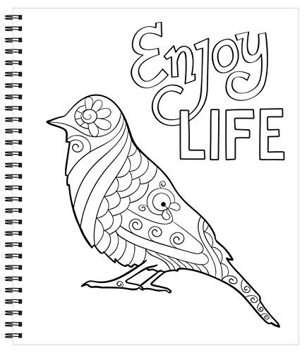 Calming Coloring Book For Adults 31 Pages Sea Shells Flowers Mandalas Feathers