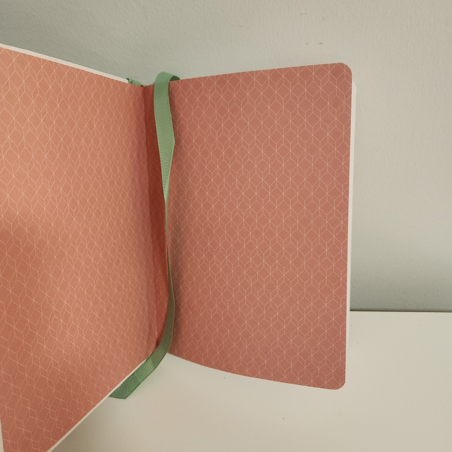FRINGE STUDIO Chihuahua Hardcover Ribbon Journal, 6 x 8.25 Inches, 160 Lined Pg