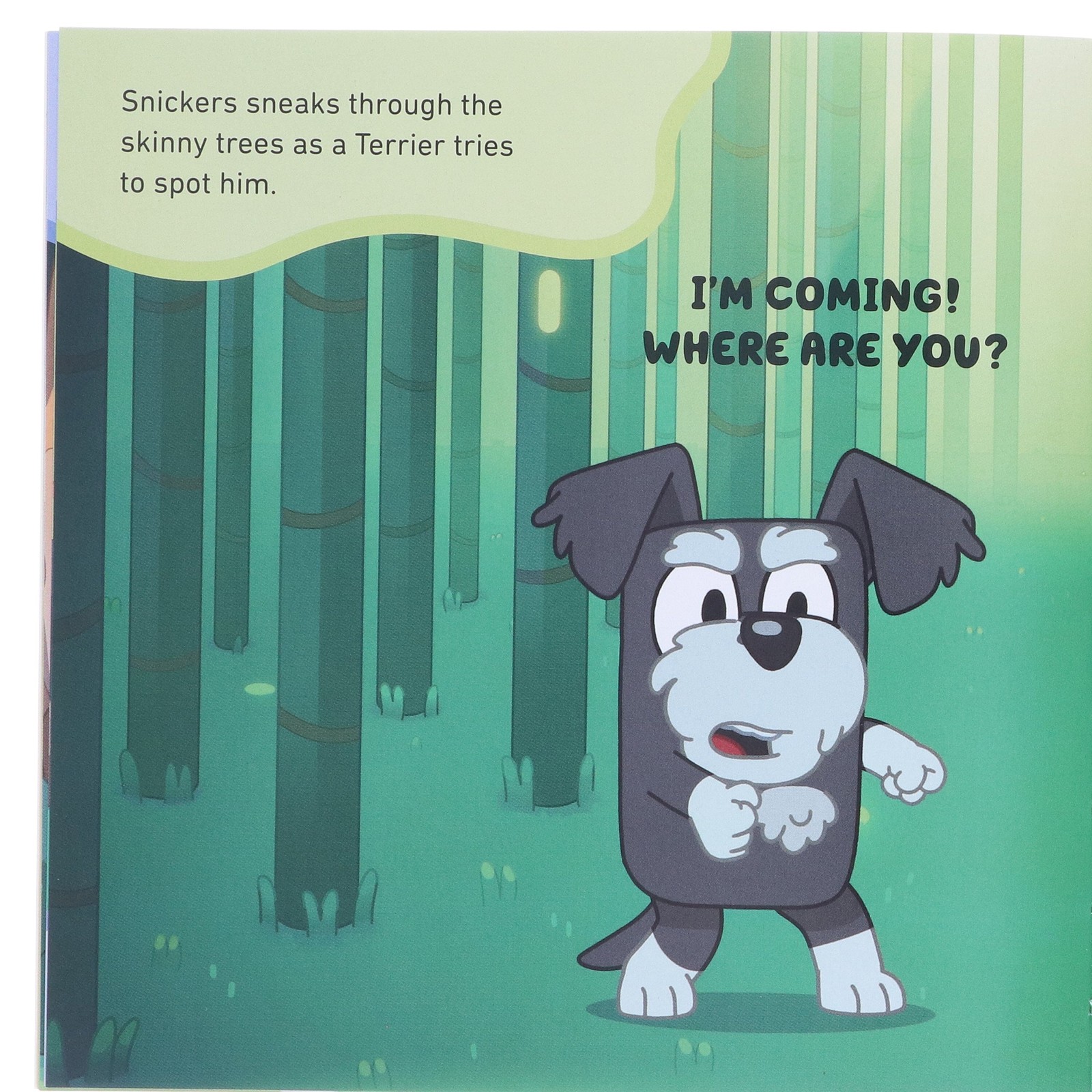Bluey Gotta Be Done! 10 Picture Books Collection Box Set — Ages 3-7 — Paperback