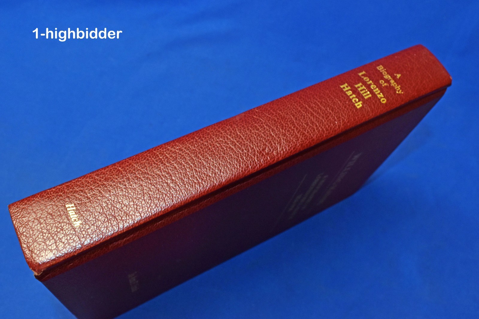 Willing Hands Lorenzo Hill Hatch 1826-1910 LDS Pioneer Biography Nauvoo Mormon