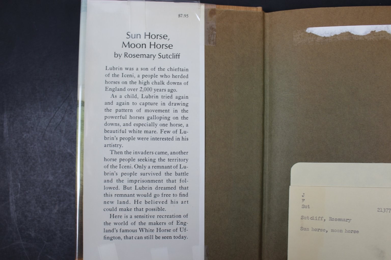 Sun Horse, Moon Horse Rosemary Sutcliff 1978 First Edition Young Adult Fiction