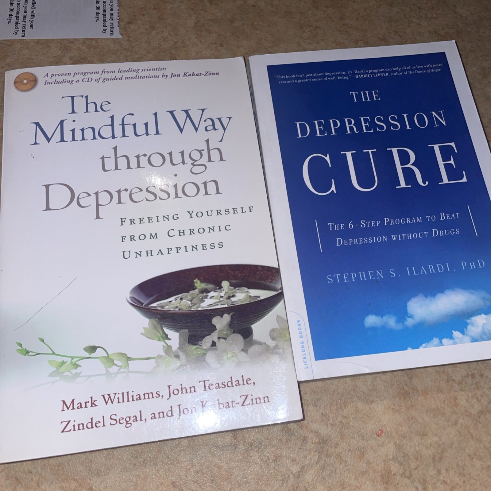 2 BOOK LOT The Mindful Way Through Depression Cure ILARDI Jon Kabat-zinn