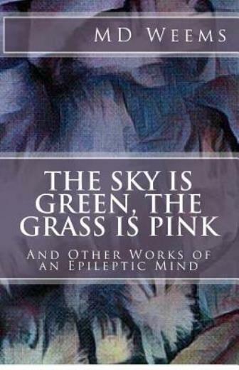 The Sky Is Green, The Grass Is Pink: And Other Works Of An Epileptic Mind
