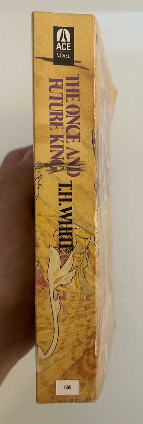 The Once And Future King by T.H. White 1982 Paperback, 22nd Printing Fantasy PB