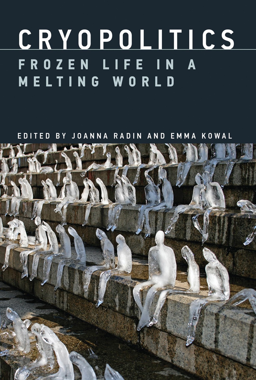 Cryopolitics: Frozen Life in a Melting World, , Excellent Book