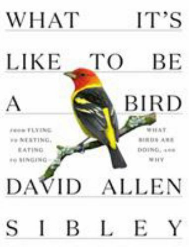 What It’s Like to Be a Bird : From Flying to Nesting, Eating to Singing — Wha…