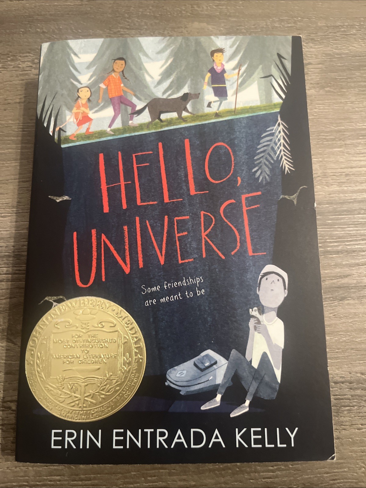 Hello, Universe : A Newbery Award Winner by Erin Entrada Kelly (2020, Trade…