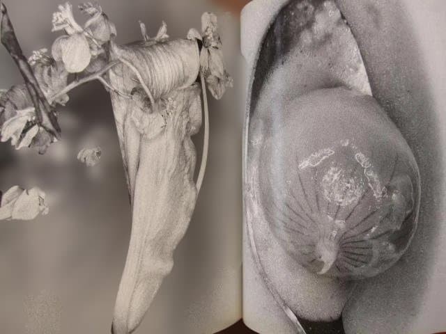 Nobuyoshi Araki «Erotos» Photo Book First edition Hardcover Japanese