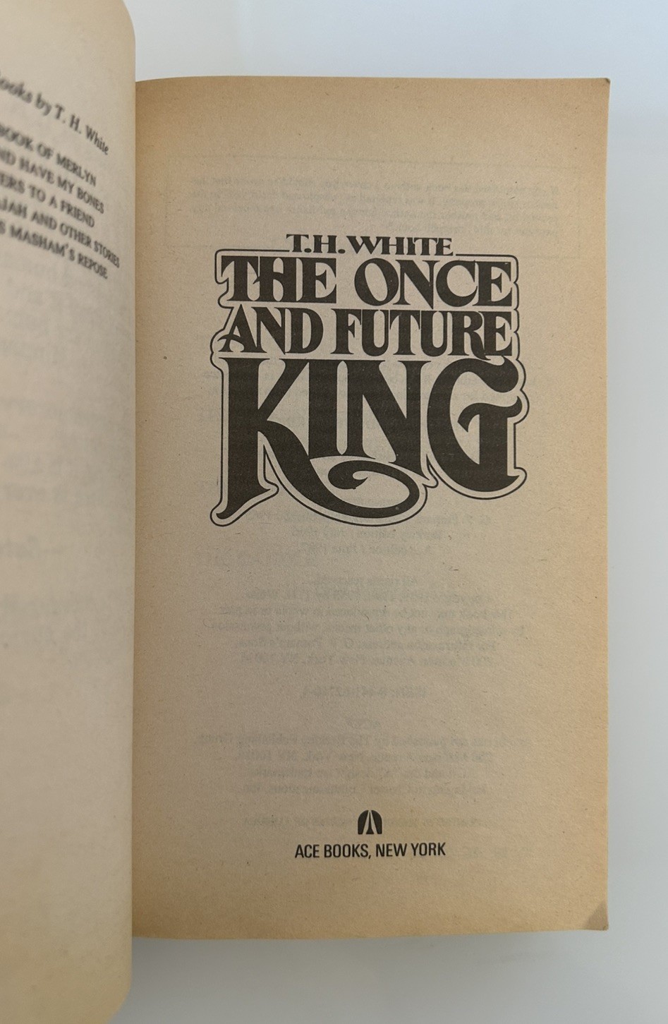 The Once And Future King by T.H. White 1982 Paperback, 22nd Printing Fantasy PB