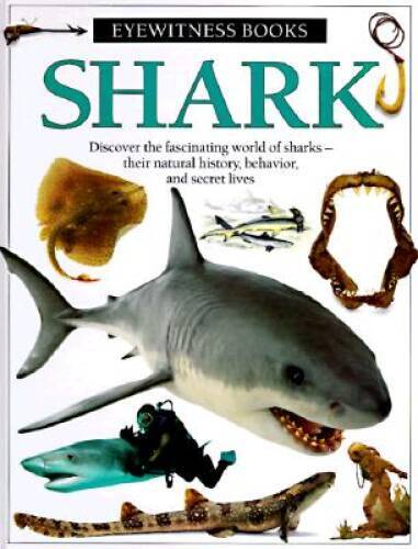 Shark (Eyewitness Books) — Hardcover By Macquitty, Miranda — GOOD