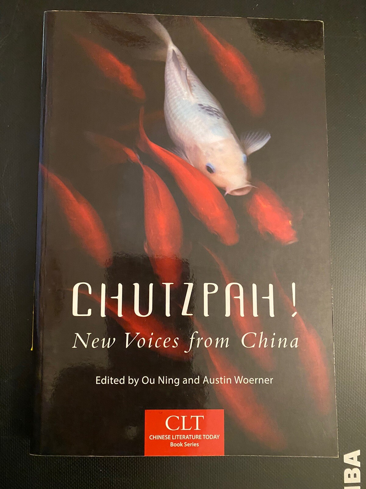 Chinese Literature Today Book Ser.: Chutzpah! : New Voices from China by Austin