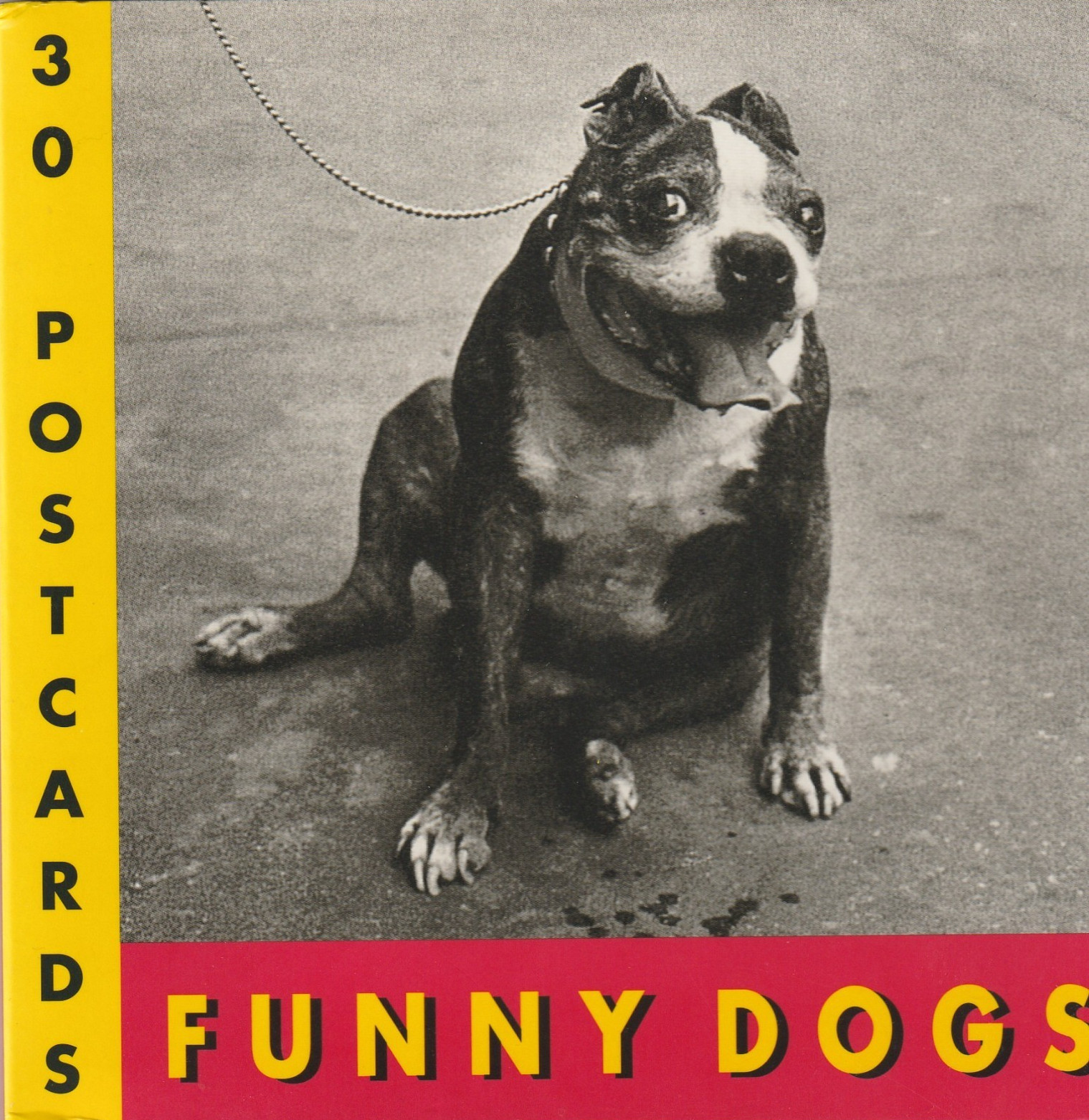 Funny Dogs: a Book of 30 Postcards by J. C. Suares (1996, Trade Paperback)