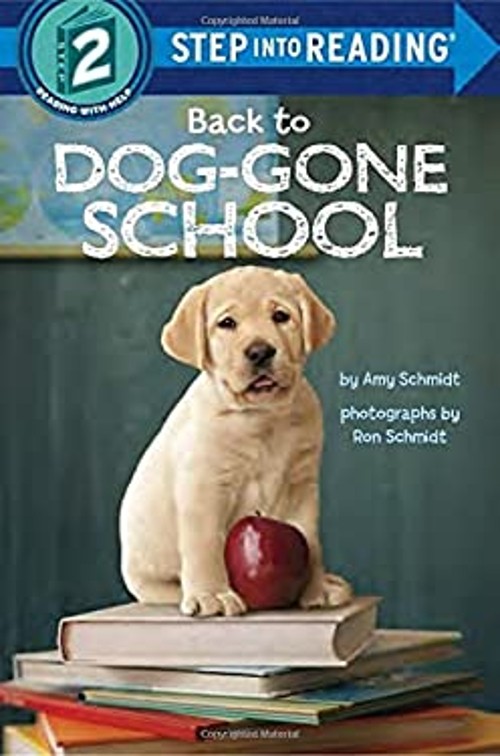 Back to Dog-Gone School Picture Book Amy Schmidt