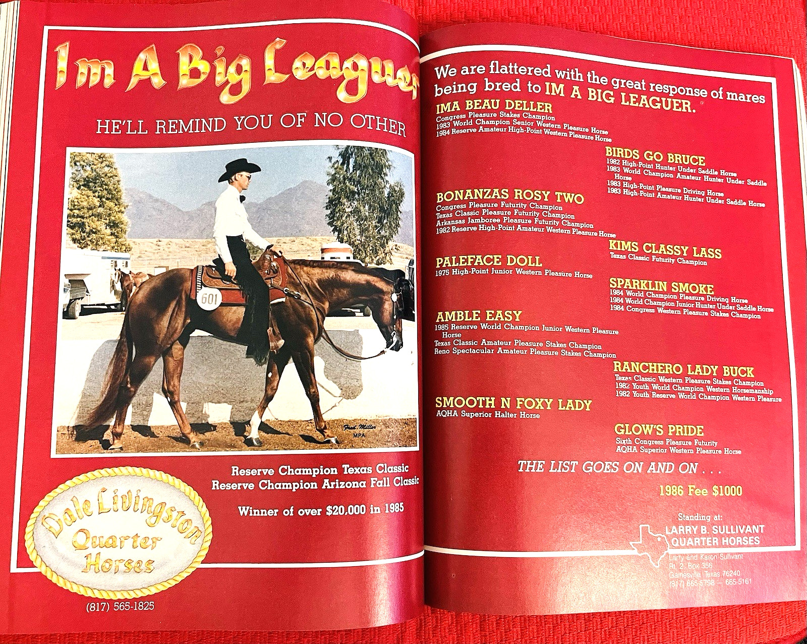 SALE ENDS 6/15! 1986 QUARTER HORSE JOURNAL Book — DYNAMIC DELUXE, ZAN PARR BAR