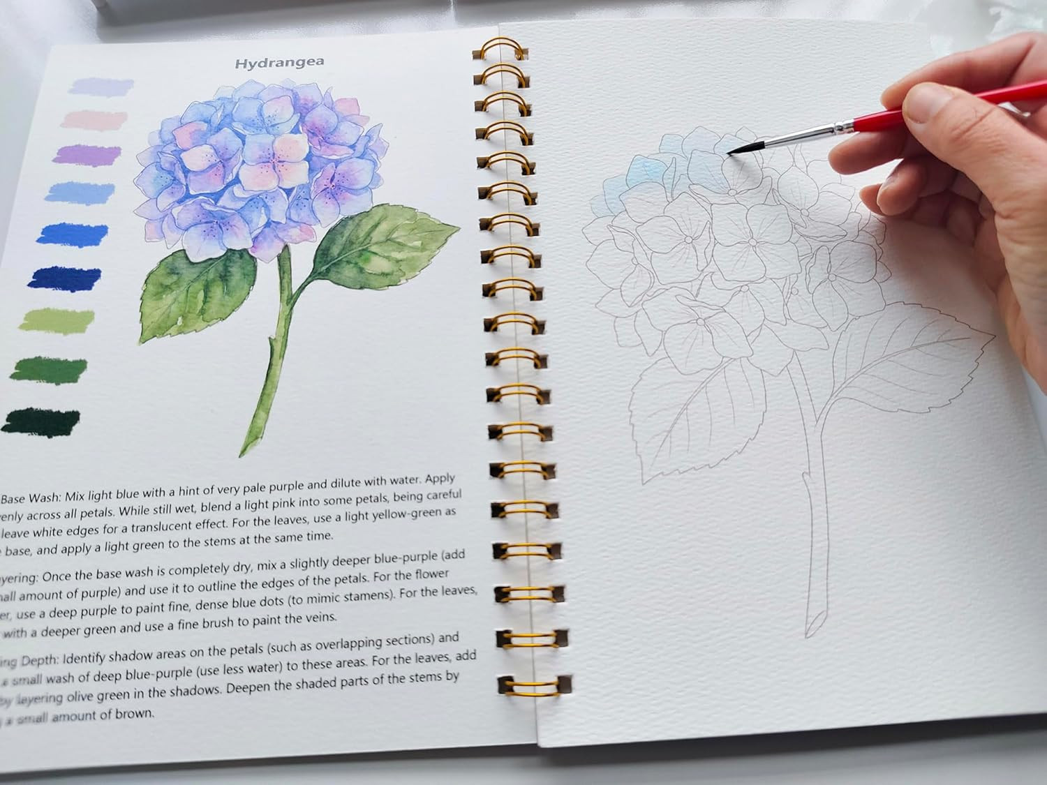 Watercolor Workbook, Water Coloring Book for Adult &Teens Beginners,15 Beautiful