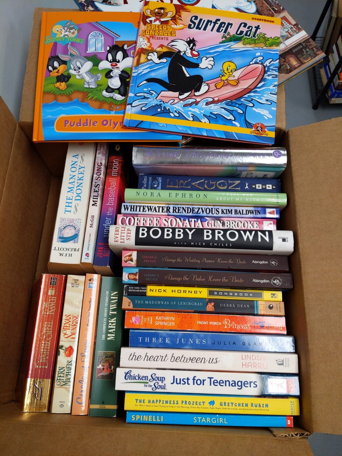 Little Free Library Bulk Lot of Books — Mixed Fiction & Nonfiction all Very Good