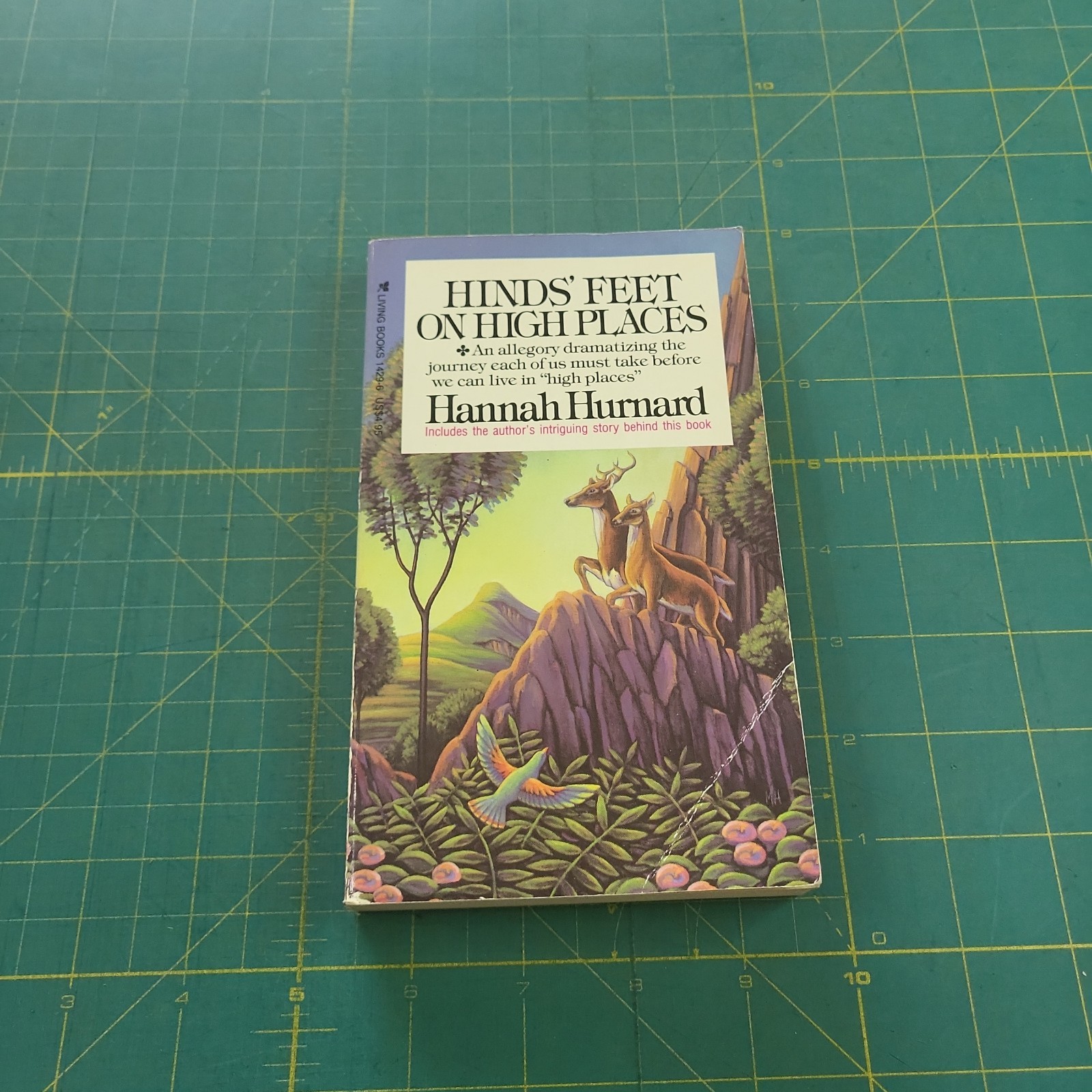 Hinds’ Feet on High Places by Hurnard, Hannah [Paperback]