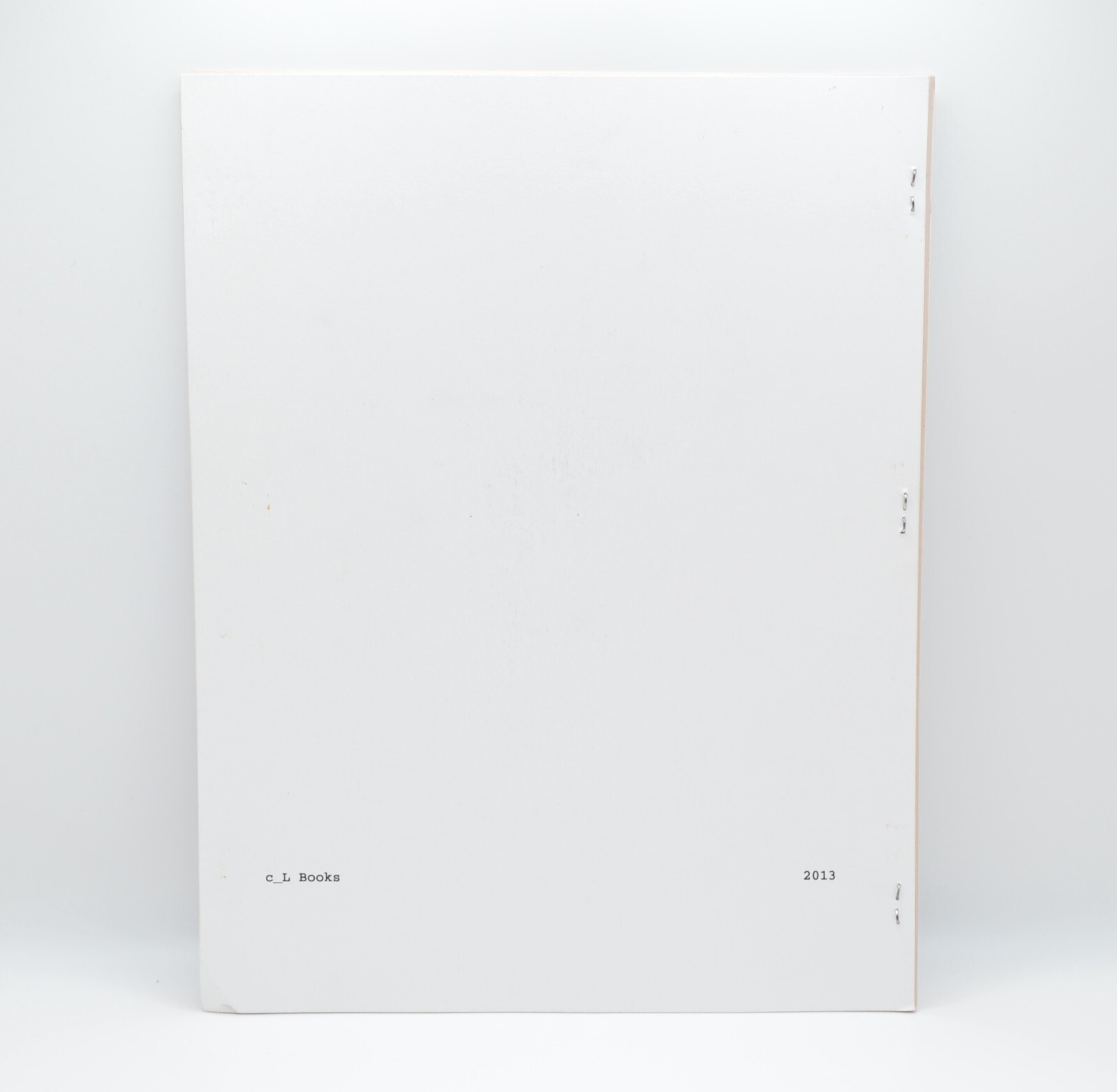 Who is in Charge, Morgan Ritter, 2013, c_L Books, LE, Concrete Poetry, Artist
