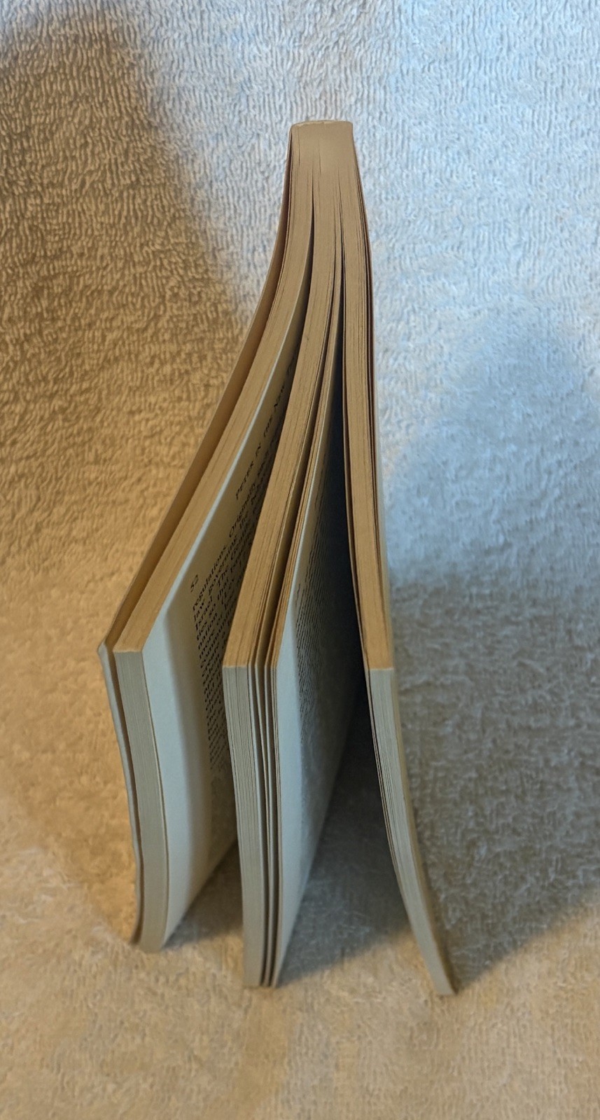 PETER IN THE NEW TESTAMENT Ed. by R. E. Brown PB 1973 Lutheran-Catholic