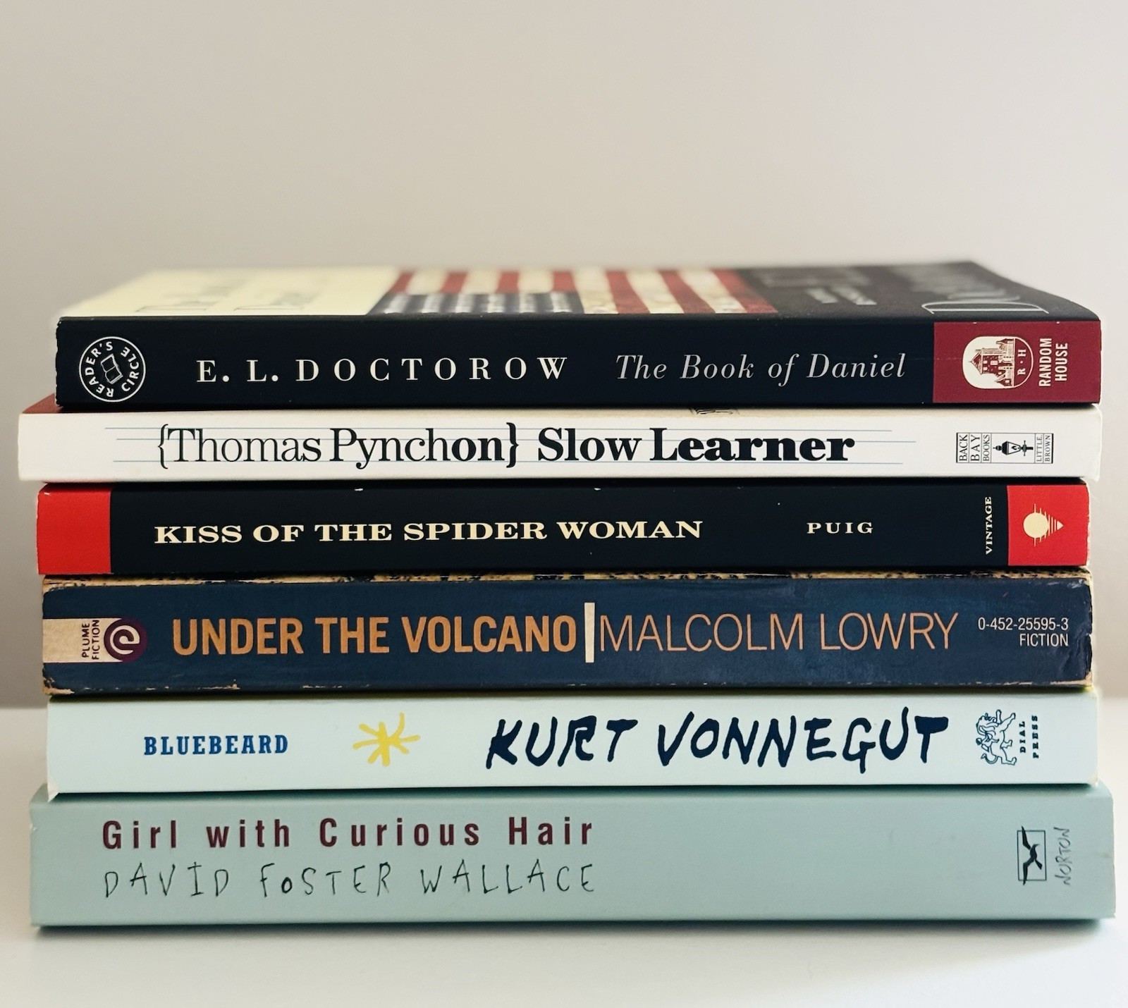 Lot of 6 TWENTIETH-CENTURY FICTION BOOKS Vonnegut Pynchon David Foster Wallace